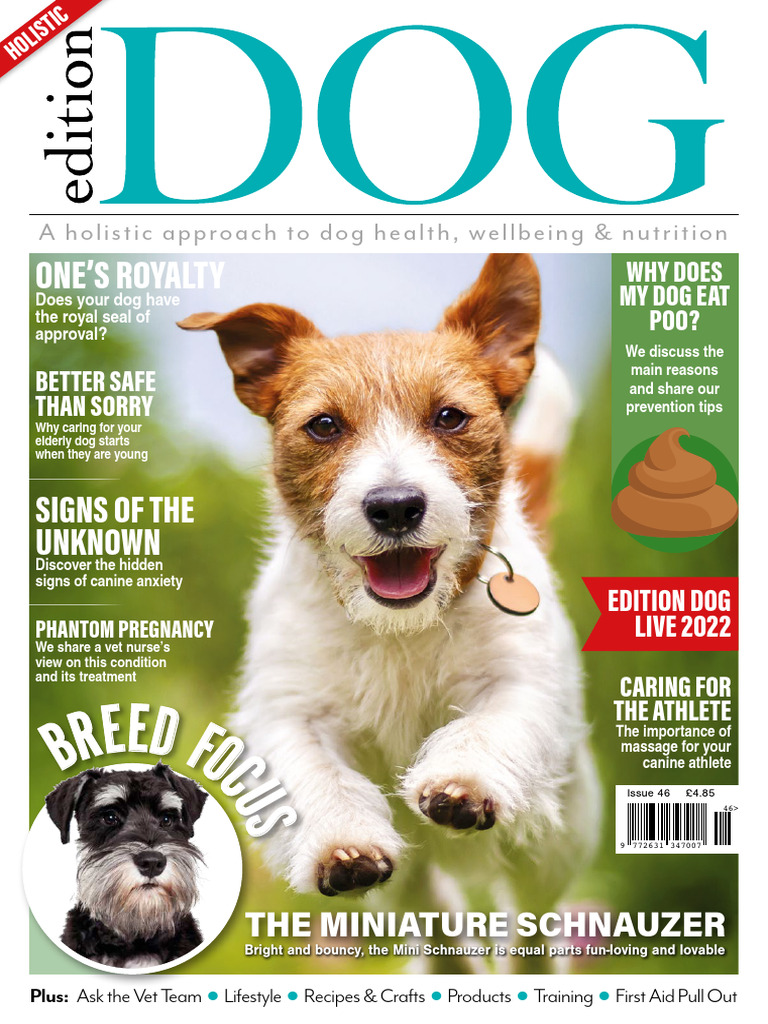 Edition Dog - Issue 46 - July 2022 | PDF | Dogs | Pregnancy
