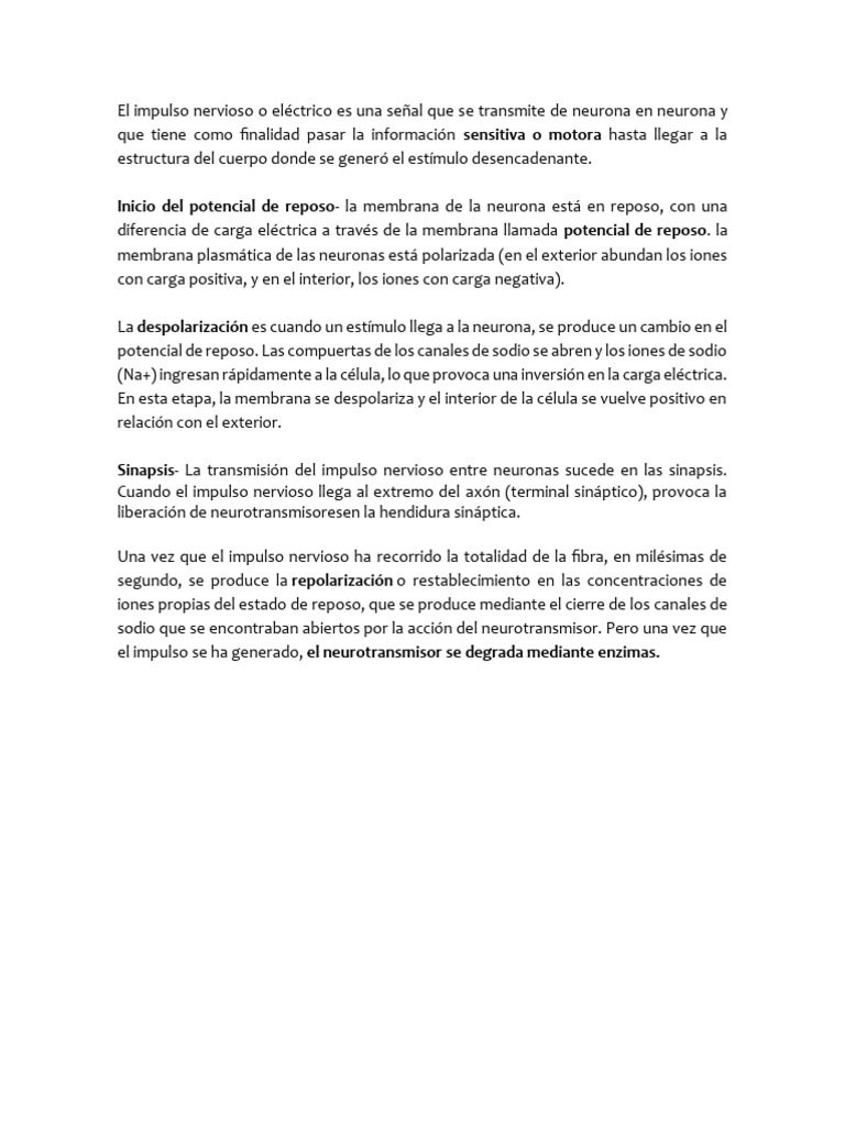 Impulso Nervioso | PDF