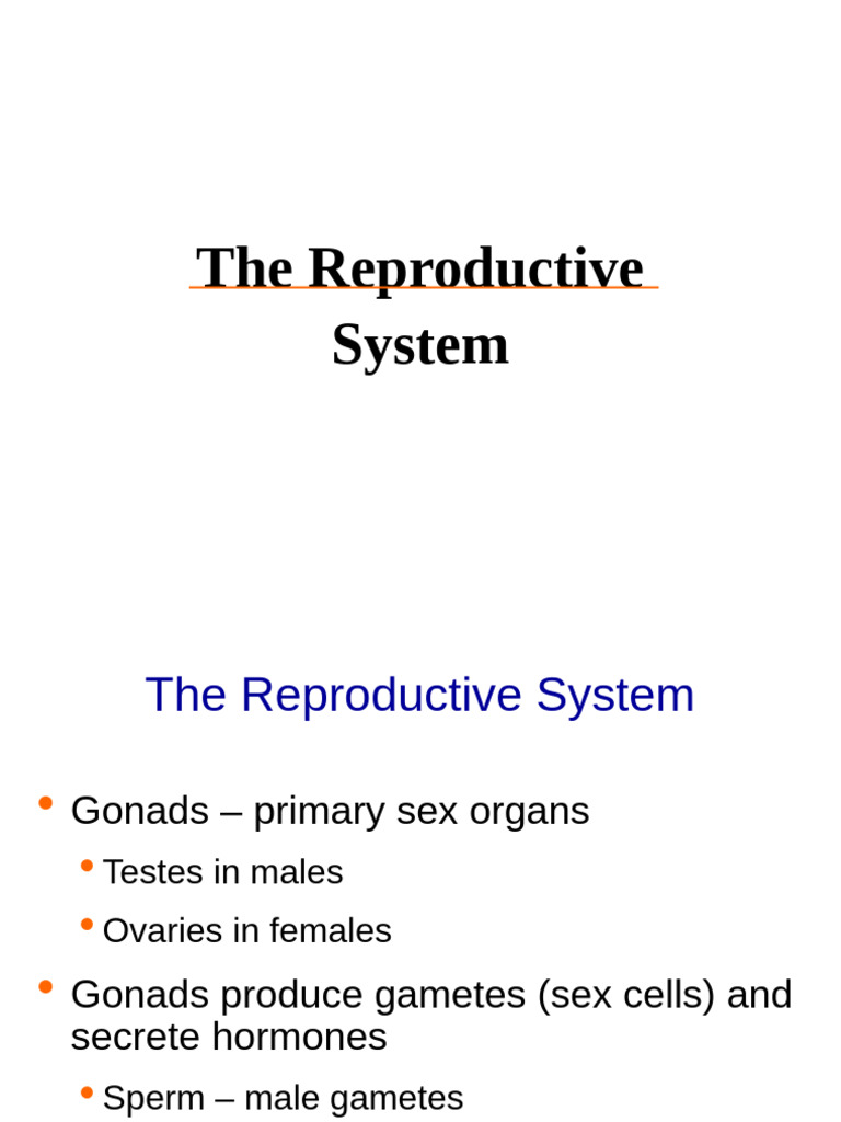 Overview of Human Reproductive System | PDF | Menstrual Cycle | Ovary