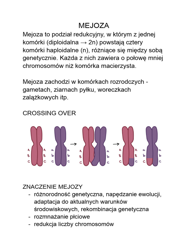 MEJOZA | PDF