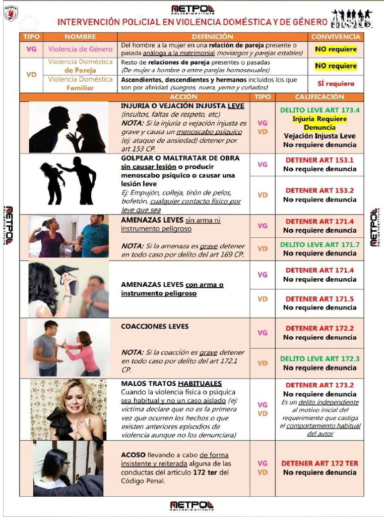 Netpol Viogen | PDF