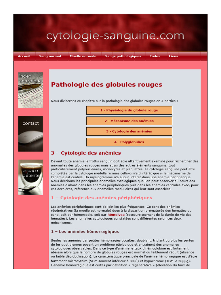 Pathologie des globules rouges : anémies et cytologie | PDF | Anémie ...