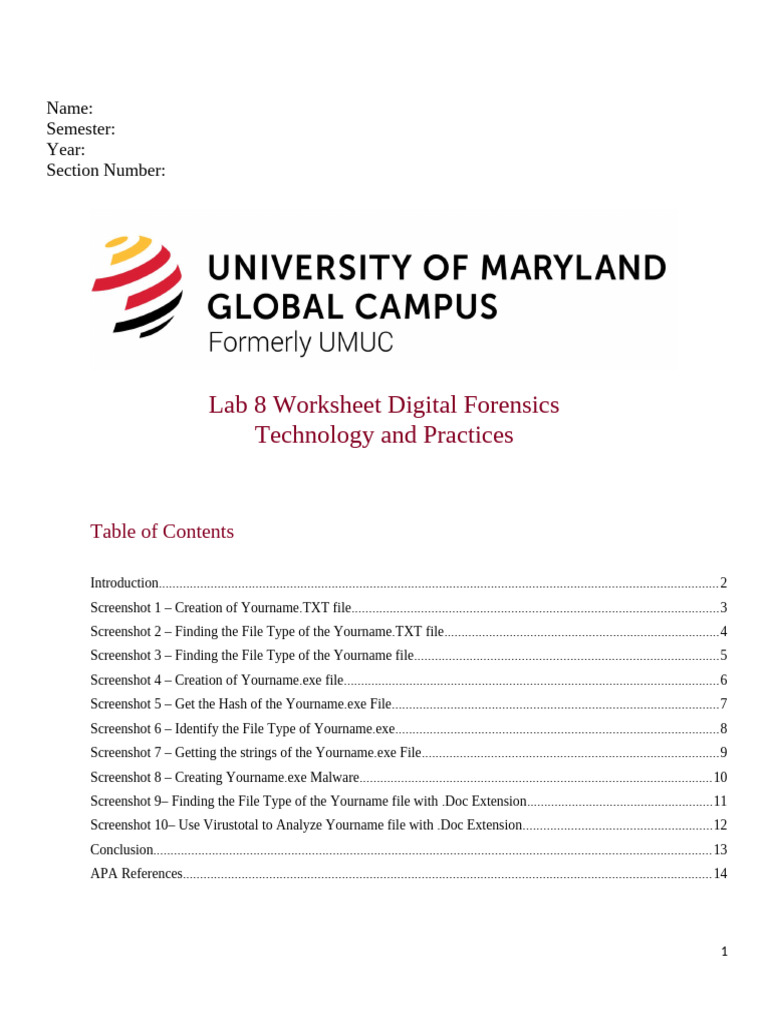 Digital Forensics Lab Worksheet Guide | PDF | Computer File | Digital ...