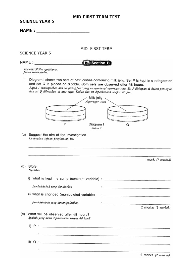Mid-First-SC 5 | PDF