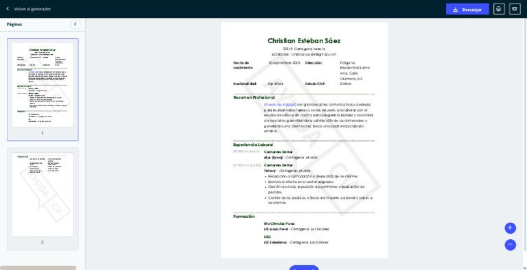 CV Simple Ces | PDF