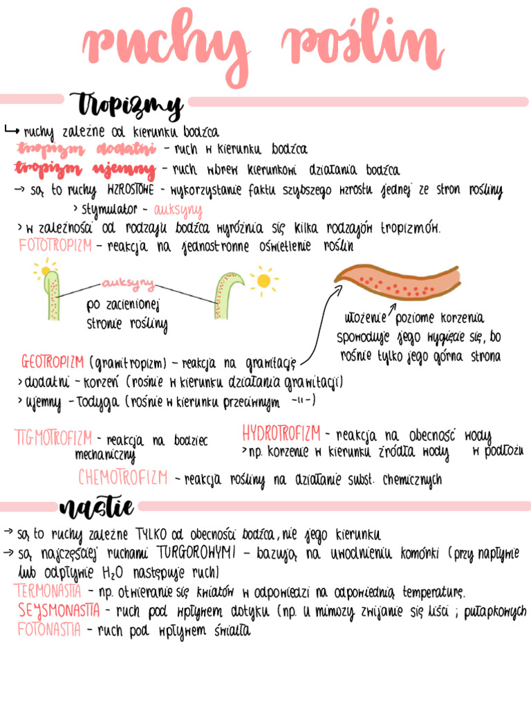 ruchy-ro-lin-pdf