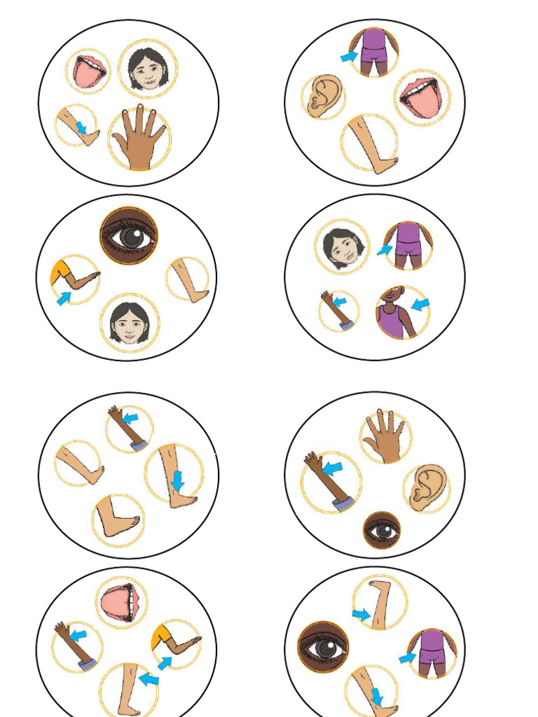 BodyParts Dobble Cards | PDF