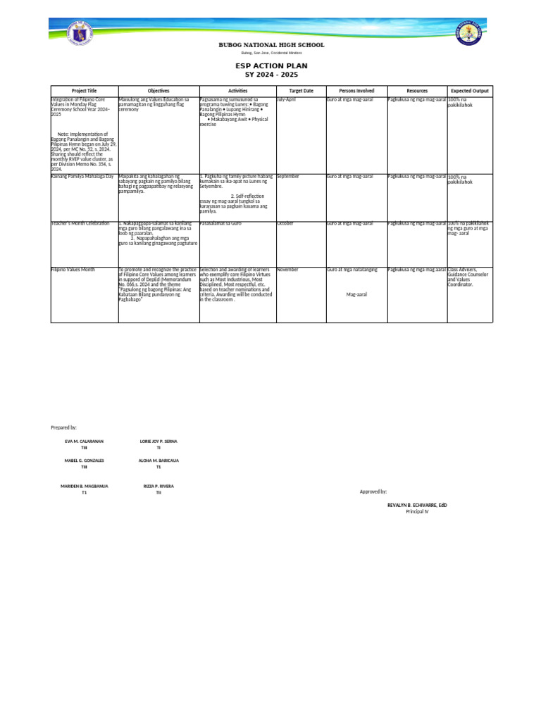 Esp Action Plan | PDF