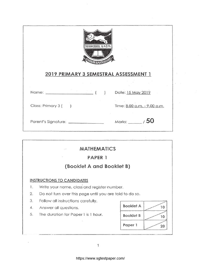 P3 Maths SA1 2019 Tao Nan Exam Papers | PDF