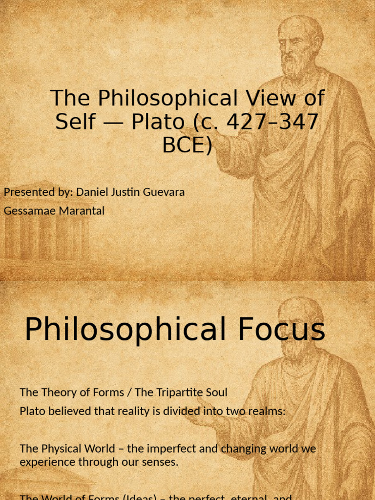 Plato's Theory of the Self and Soul | PDF