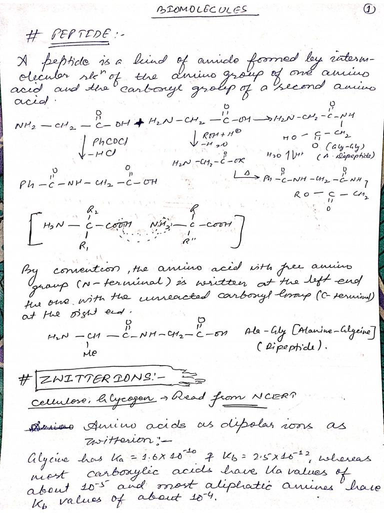 Bio Molecules 4 | PDF