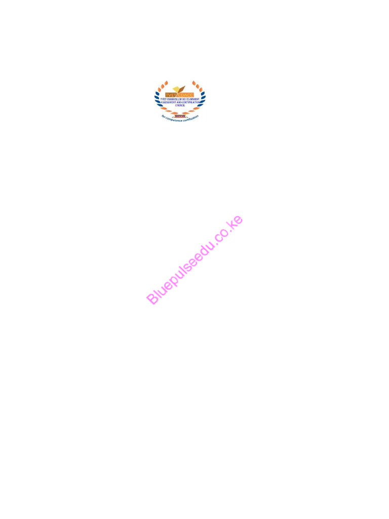 Level 6 Digital Literacy Assessment | PDF | Computer Security | Security