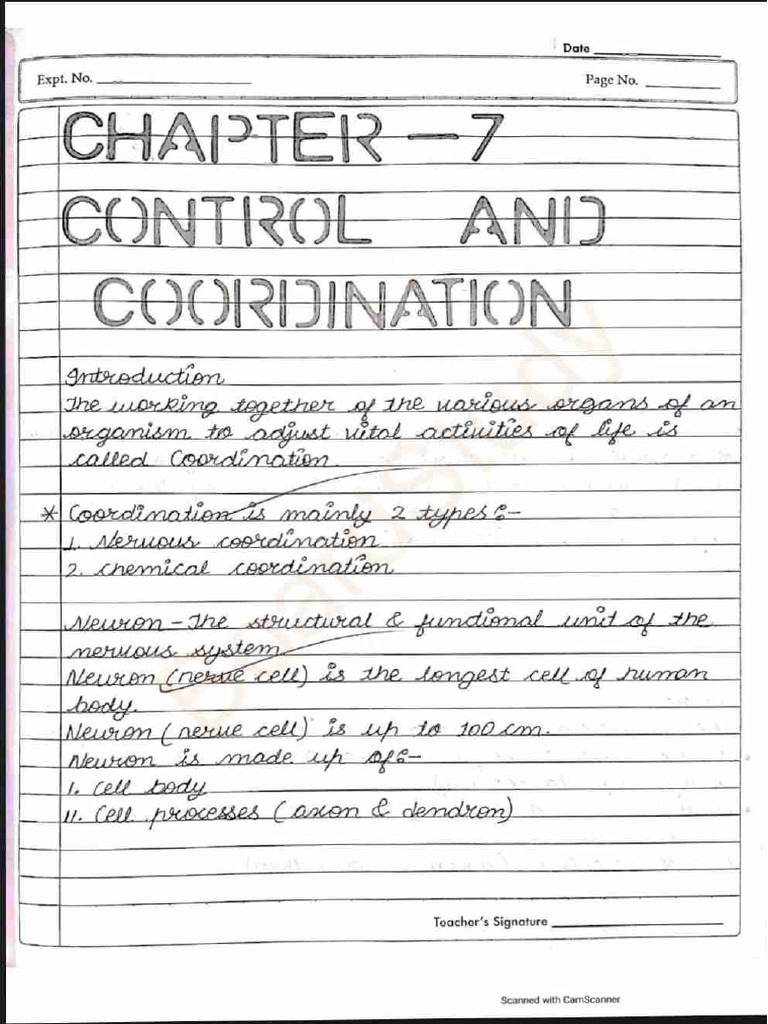 Document 31 | PDF