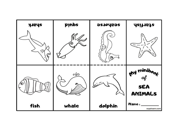 Sea Animals | PDF