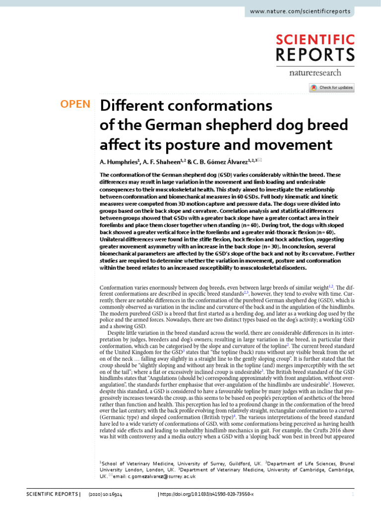 Different Conformations of The German Shepherd Dog Breed Affect Its ...