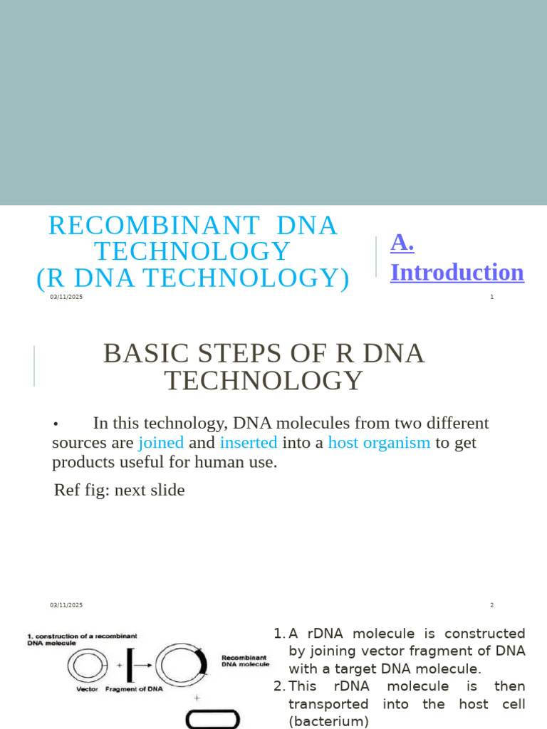 Overview of Recombinant DNA Technology | PDF | Molecular Cloning ...