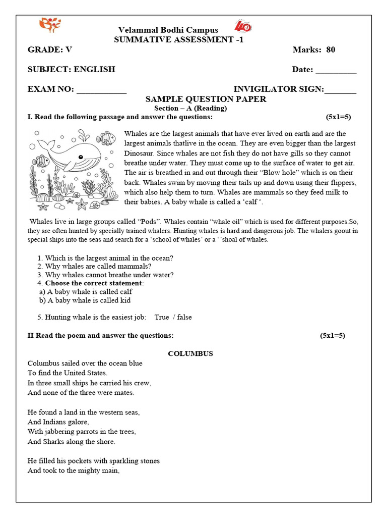 Grade V English Summative Assessment | PDF | Whales | Whaling