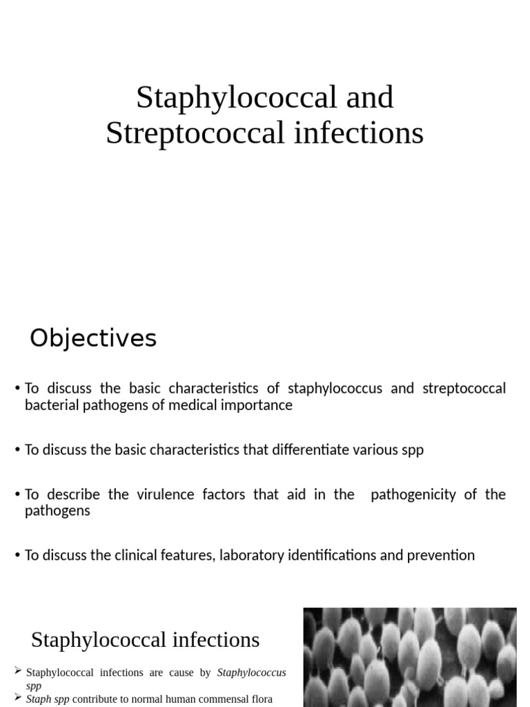 Staphylococcal and Streptococcal Infections Overview | PDF ...
