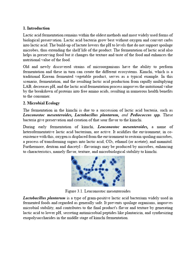 Group A - Lactic Acid Fermentation in Vegetables - Case Kimchi - Draft ...