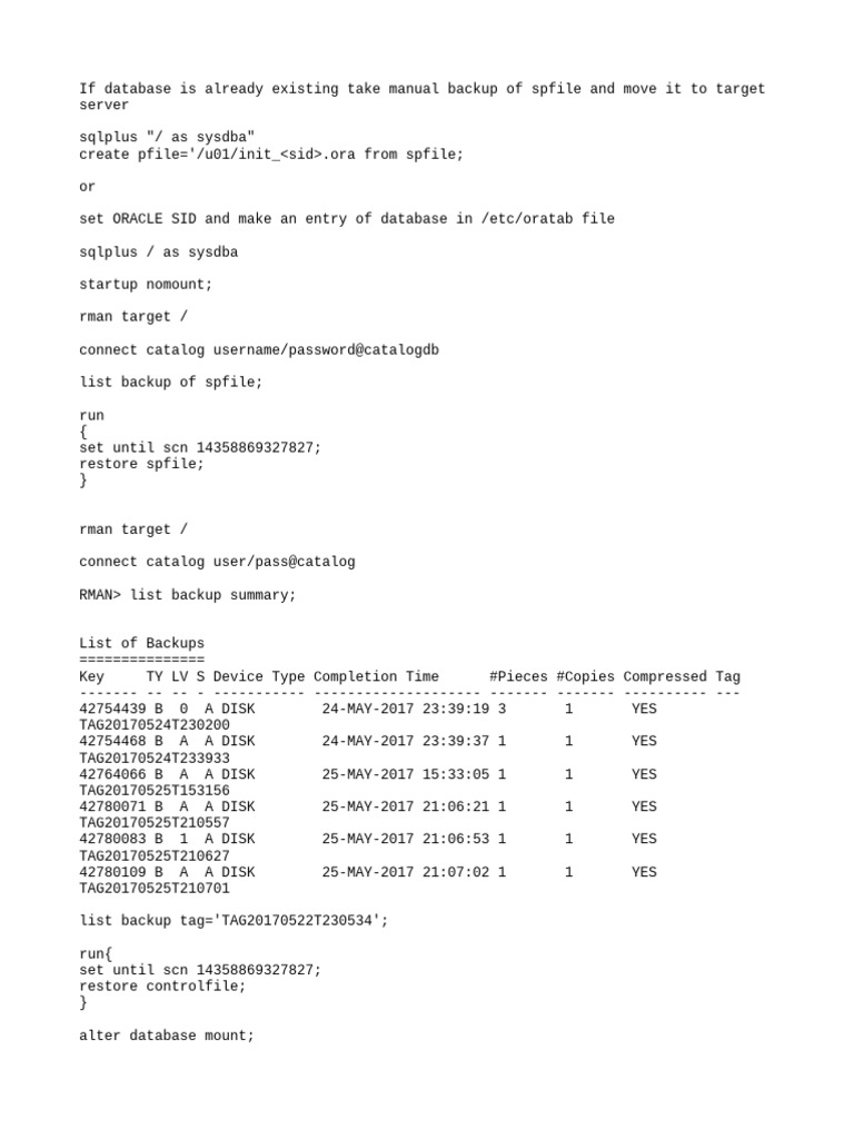RMAN Database Restore Guide | PDF