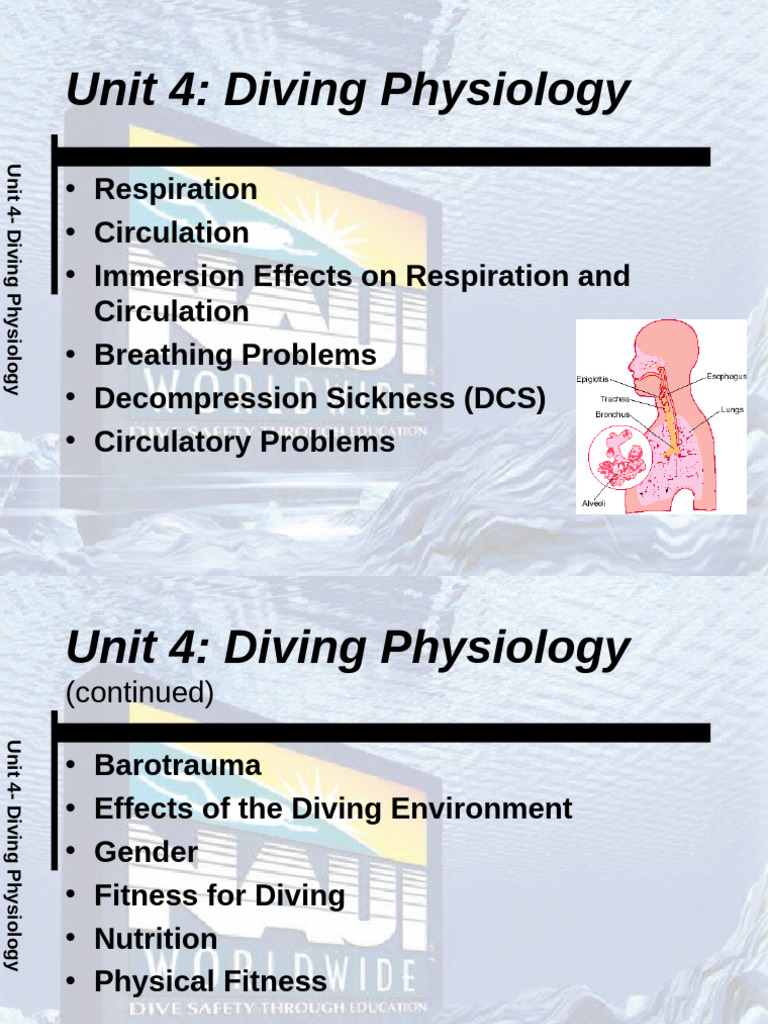 Diving Physiology: Health & Safety Guide | PDF | Underwater Diving ...