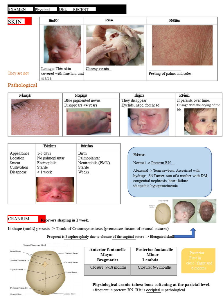Newborn Assessment and Anomalies Guide | PDF | Anatomical Terms Of ...