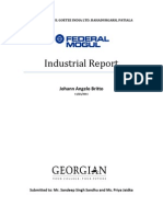 Federal Mogul Industrial Tour Report