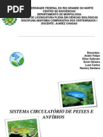 CIRCULAÇÃO DE ANFIBIOS E PEIXES