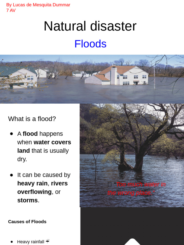 Understanding Floods: Causes, Effects, and Safety | PDF