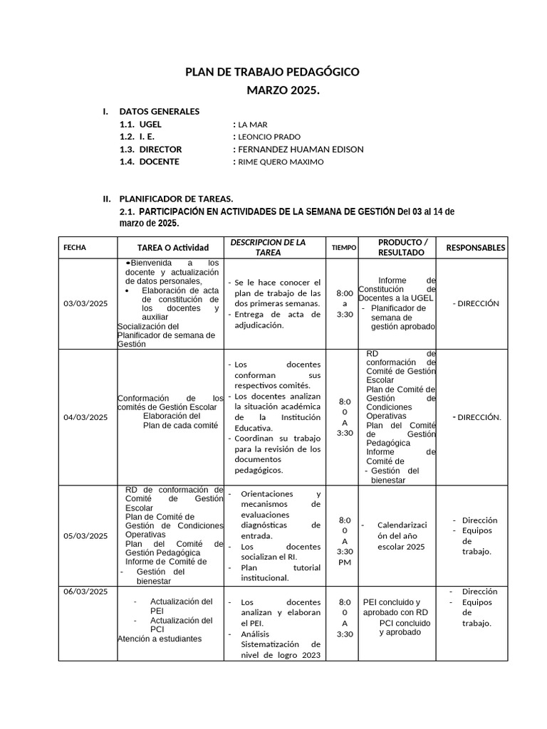 Plan de Trabajo Pedagógico 2025 | PDF | Aprendizaje | Modificación de ...