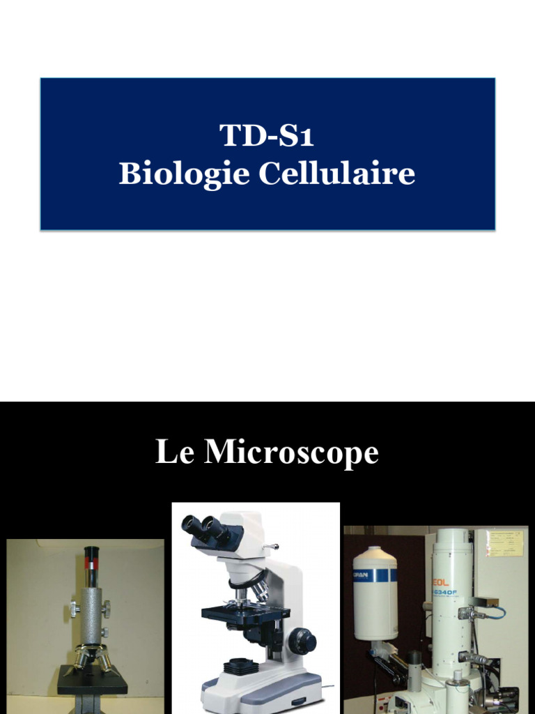 Types et fonctionnement des microscopes | PDF | Microscope | Microscope ...