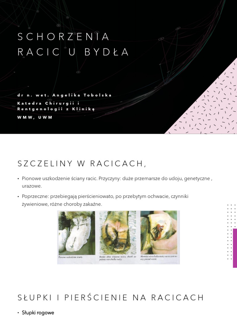 Schorzenia Racic U Bydła | PDF