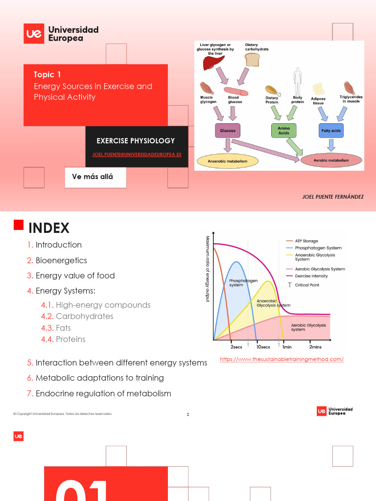Energy Sources in Exercise Physiology | PDF | Glycolysis | Cellular ...