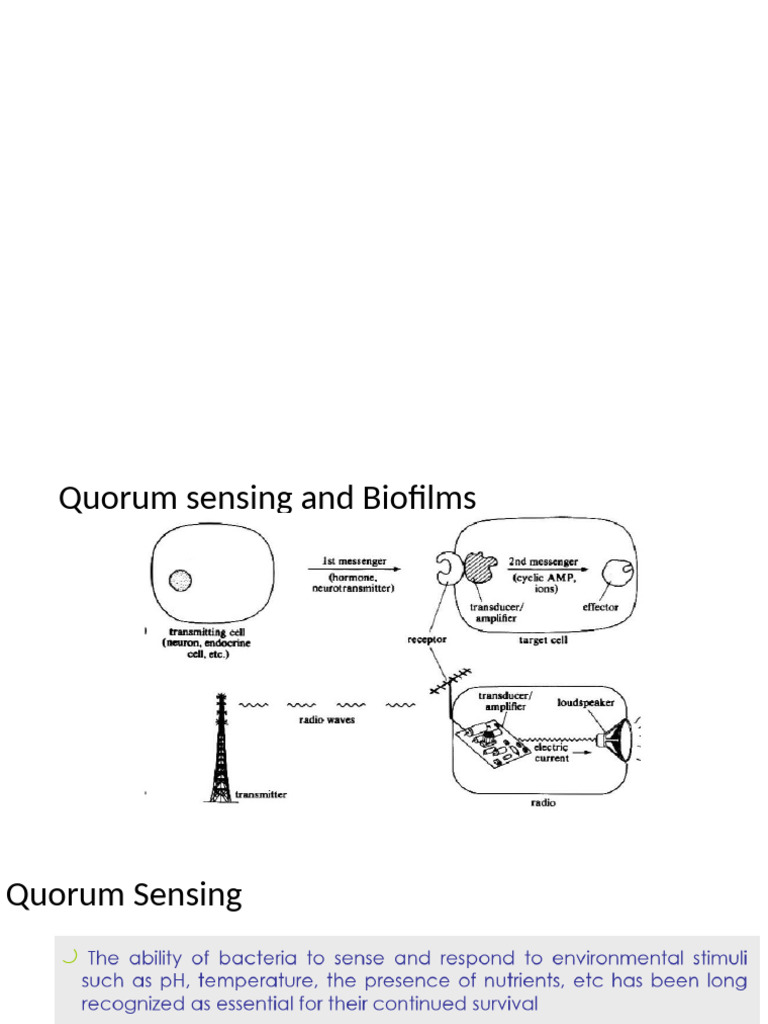 Quorumsensing and Biofilm Formation | PDF