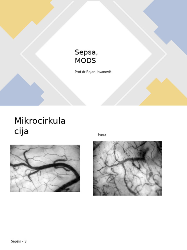 Sepsa 2025. | PDF