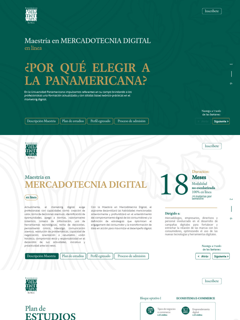 Maestría en Mercadotecnia Digital UP | PDF | Marketing | Publicidad digital