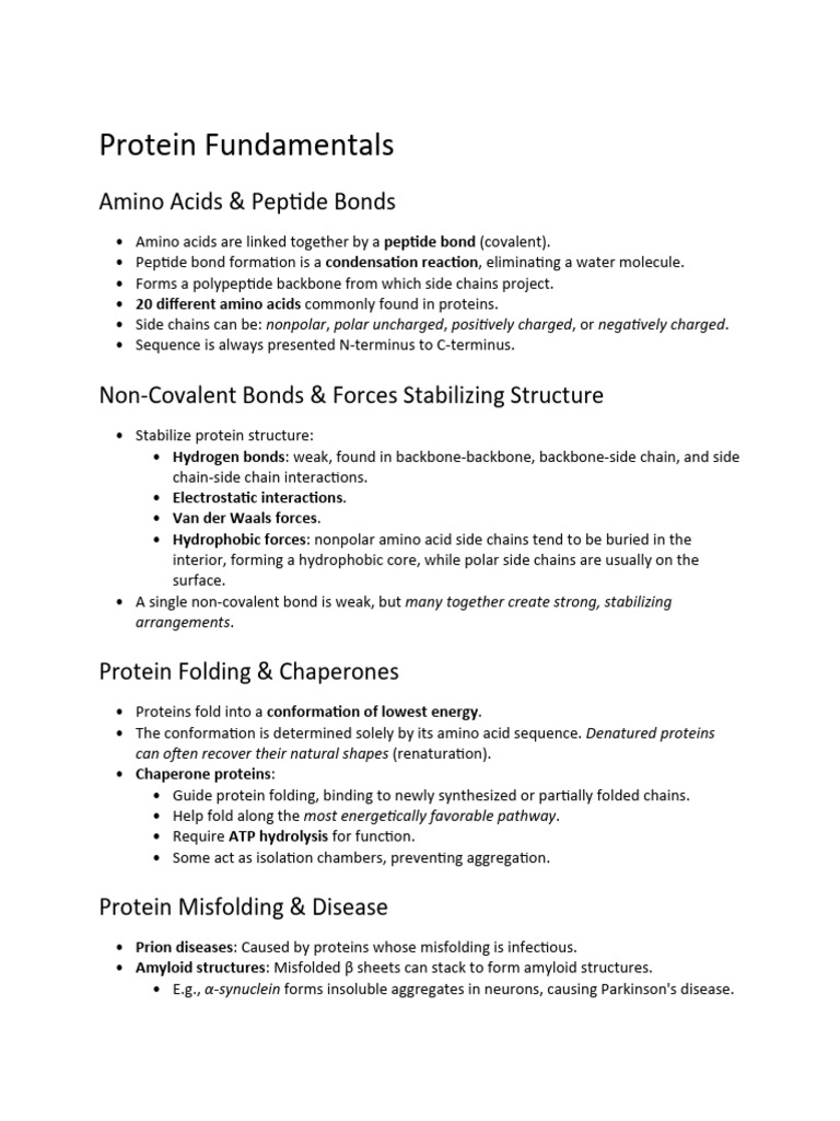 Chapter 4 Proteins | PDF | Protein Folding | Beta Sheet