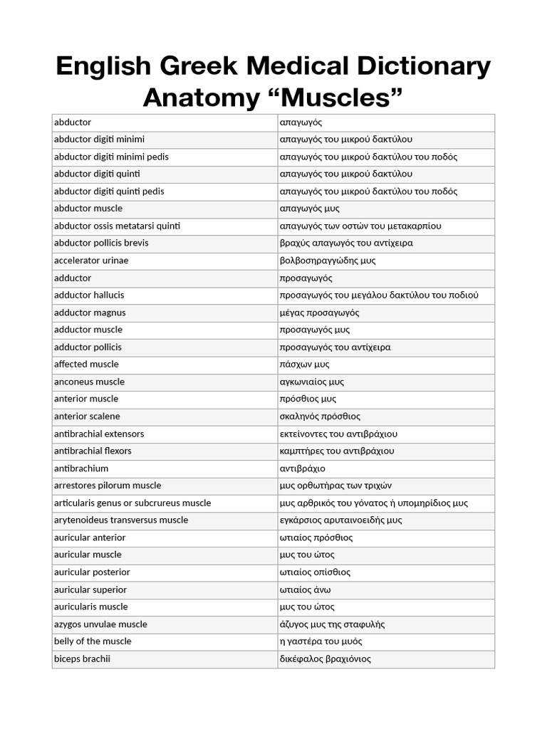 ENG GR Muscles | PDF