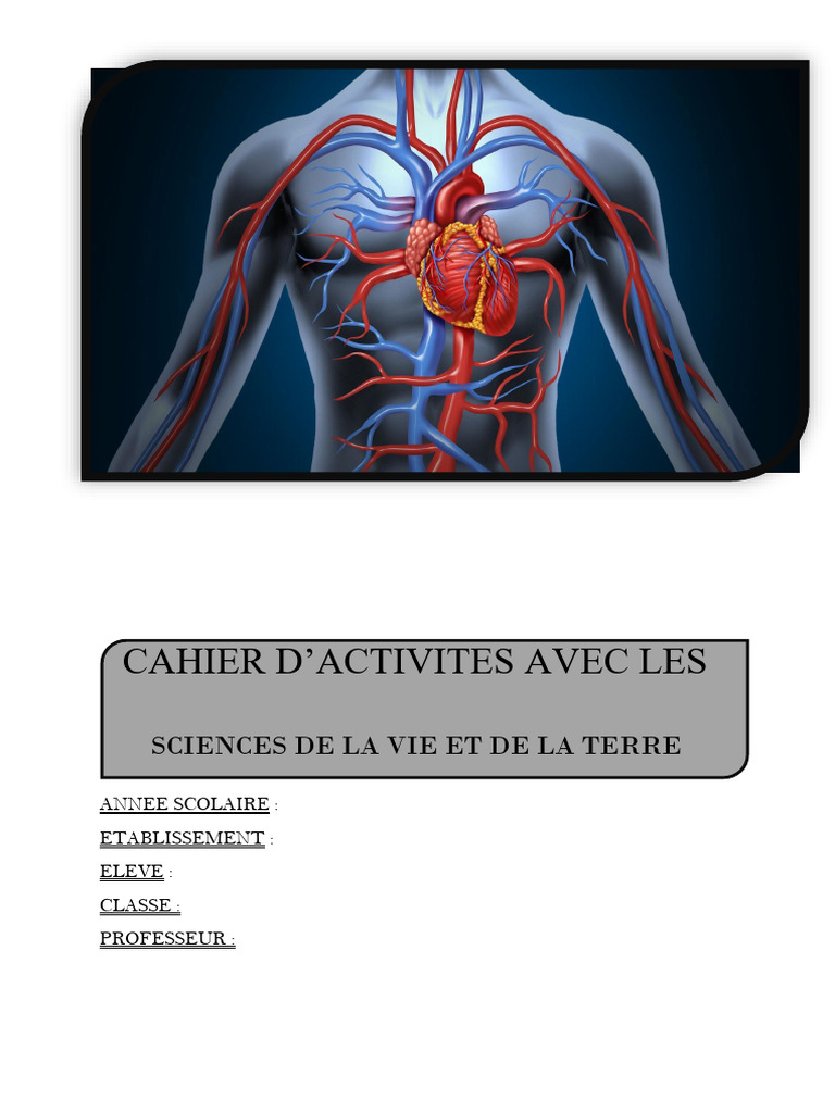 Cours SVT 6eme | PDF | Fertilisant | Chlorophylle