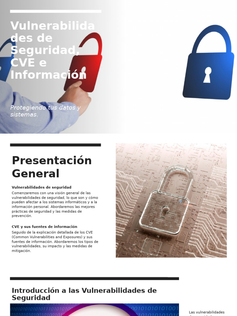 Vulnerabilidades de Seguridad, CVE V2 | PDF | La seguridad informática ...
