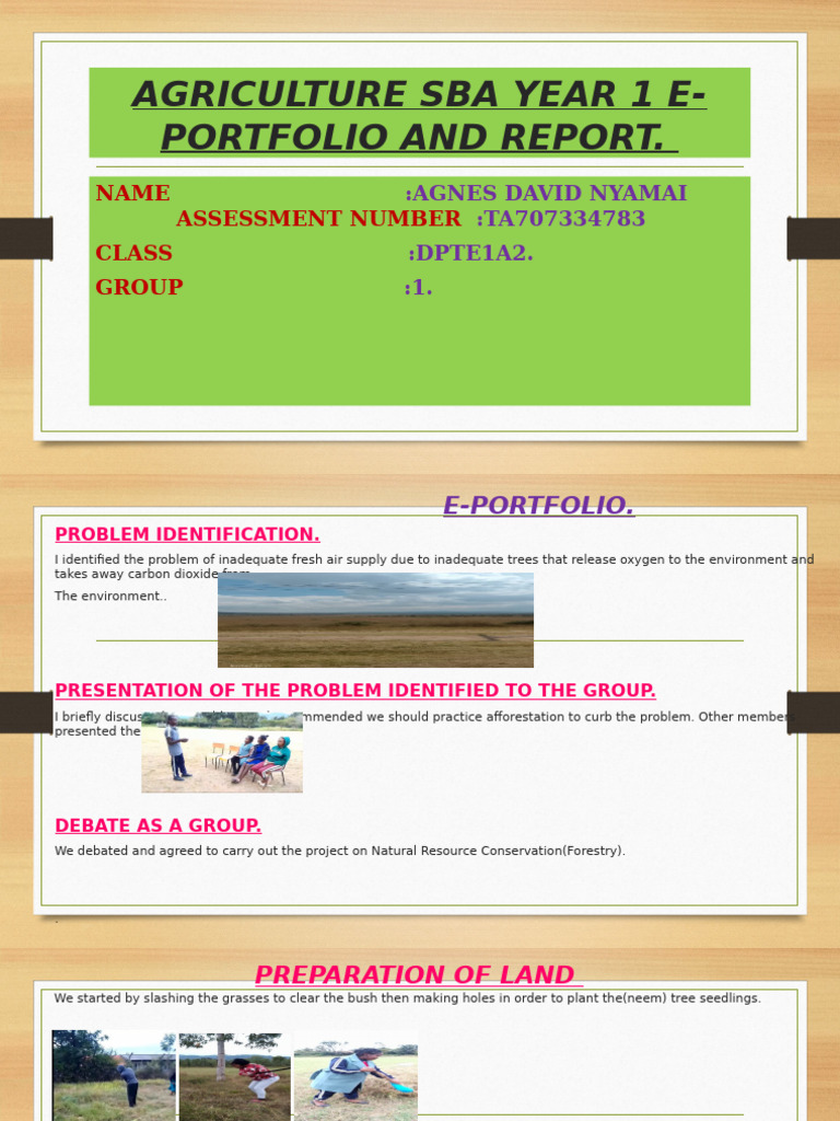 Year 1 Agriculture E-Portfolio: Forestry Project | PDF | Soil | Trees