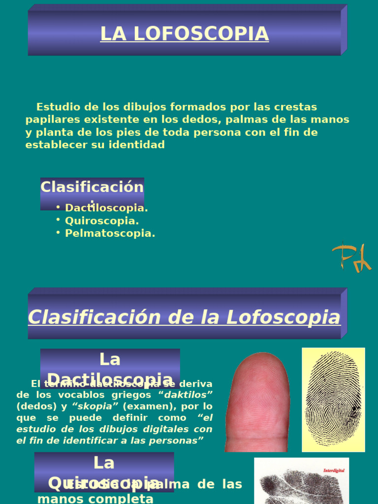 Clasificación y Estudio de Lofoscopia | PDF | Huella dactilar ...