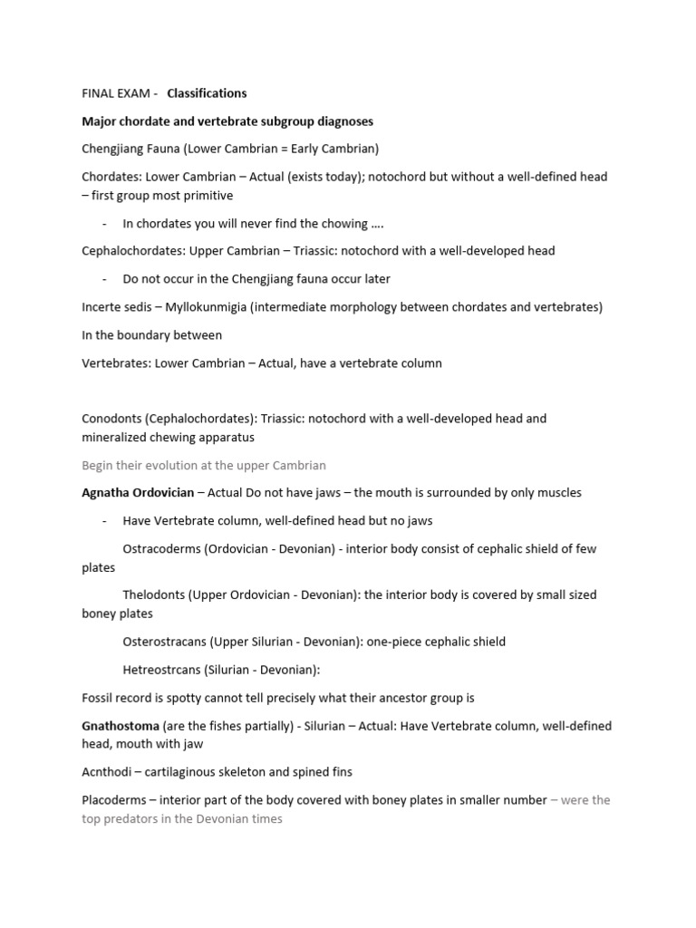 Chordate and Vertebrate Classifications | PDF | Dinosaurs | Vertebrates