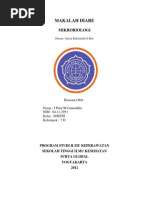 Makalah Diare