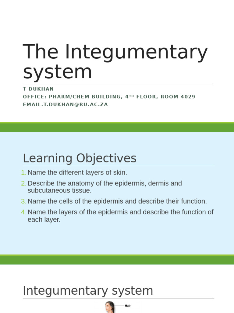 3.the Integumentary System 2025 | PDF | Epidermis | Skin