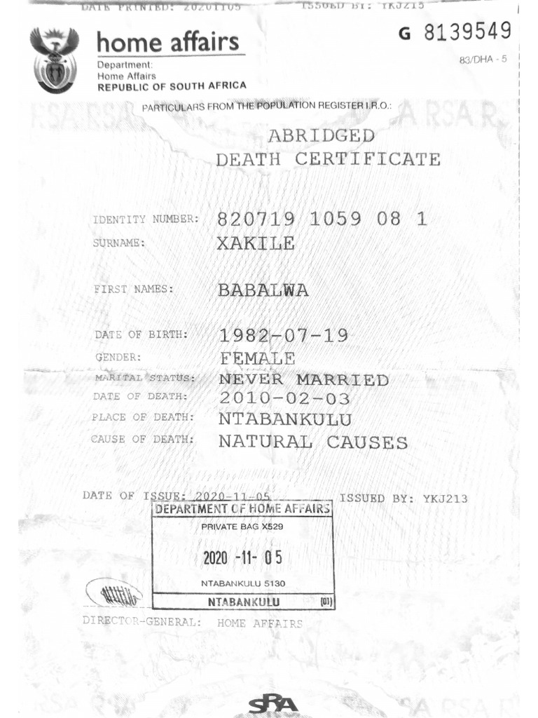 Document 31 | PDF