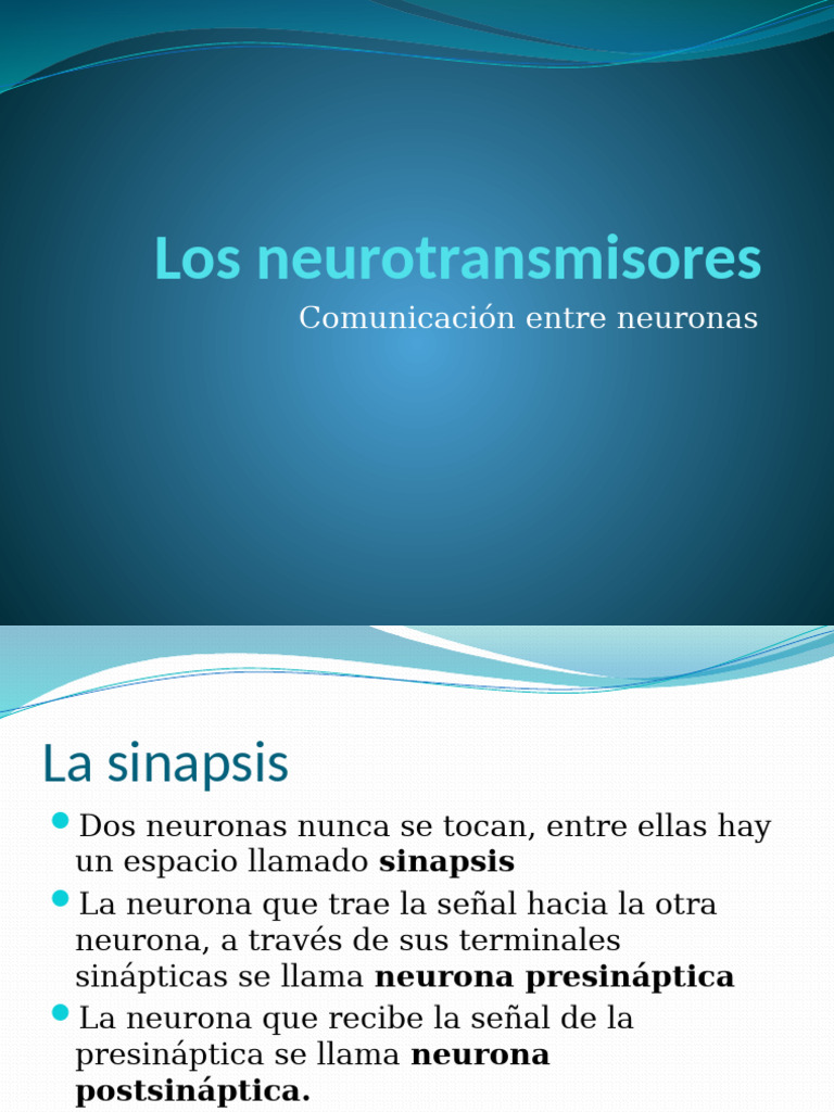 Neuro Trans | PDF | Sinapsis | Neurona