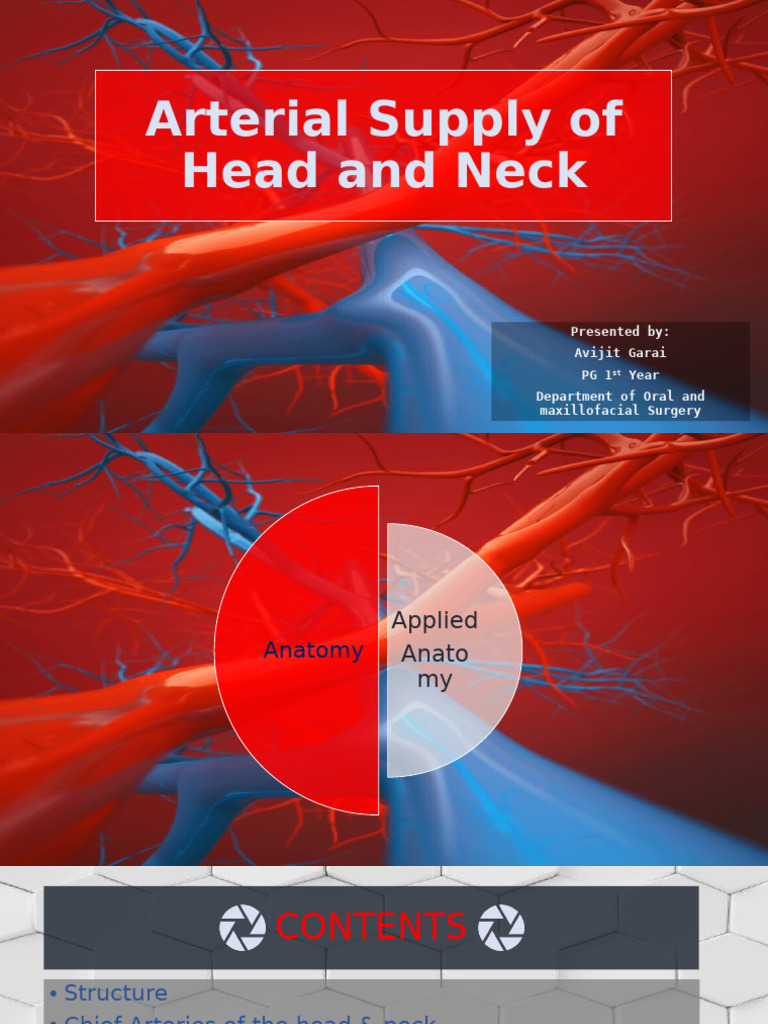 Arterial Anatomy of Head and Neck | PDF | Common Carotid Artery | Angiology