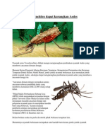 Nyamuk Toxorhynchites Dapat Kurangkan Aedes