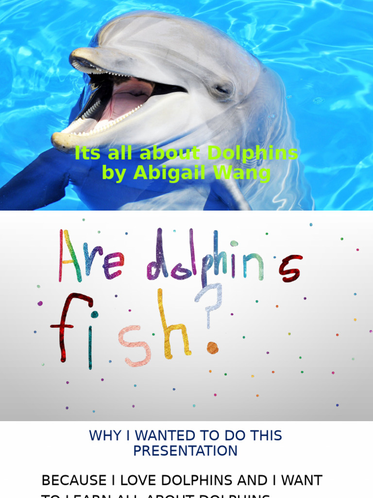 Understanding Dolphins: Facts & Habitats | PDF | Dolphin | Marine Mammals